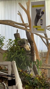 横浜市立金沢動物園に投稿された画像（2023/10/14）