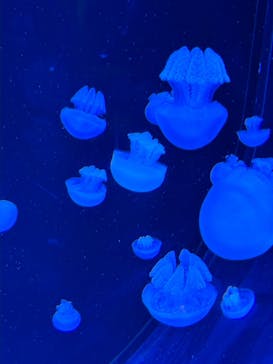 AOAO SAPPOROに投稿された画像（2023/10/14）