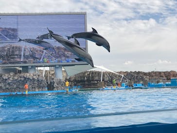 名古屋港水族館に投稿された画像（2023/10/14）