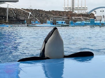 名古屋港水族館に投稿された画像（2023/10/14）