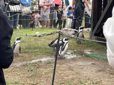 名古屋港水族館に投稿された画像（2023/10/14）