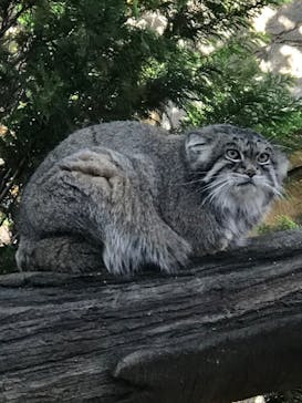 那須どうぶつ王国に投稿された画像（2023/10/14）