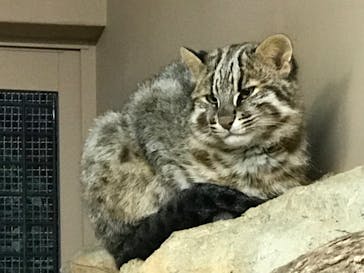 那須どうぶつ王国に投稿された画像（2023/10/14）