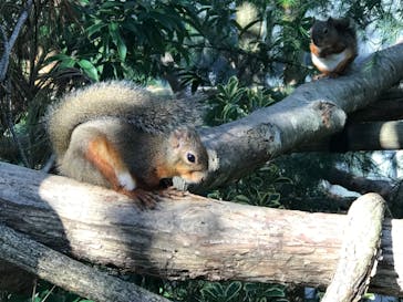 那須どうぶつ王国に投稿された画像（2023/10/14）