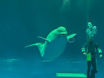 島根県立 しまね海洋館に投稿された画像（2023/10/14）