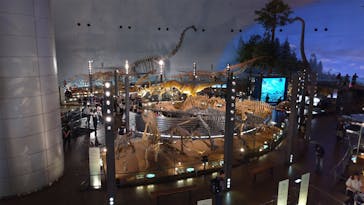 福井県立恐竜博物館に投稿された画像（2023/10/14）