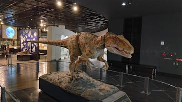 福井県立恐竜博物館に投稿された画像（2023/10/14）