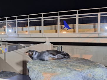 アクアワールド茨城県大洗水族館に投稿された画像（2023/10/14）