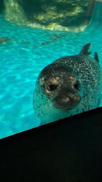 アクアワールド茨城県大洗水族館に投稿された画像（2023/10/14）