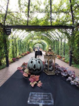 横浜イングリッシュガーデンに投稿された画像（2023/10/14）