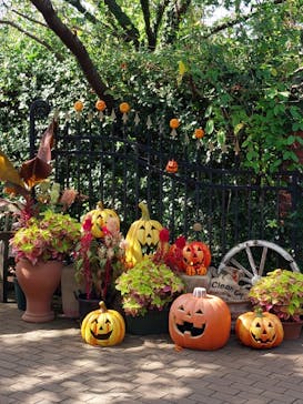 横浜イングリッシュガーデンに投稿された画像（2023/10/14）