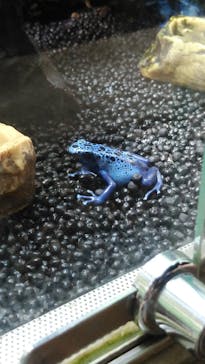 カワスイ 川崎⽔族館に投稿された画像（2023/10/14）