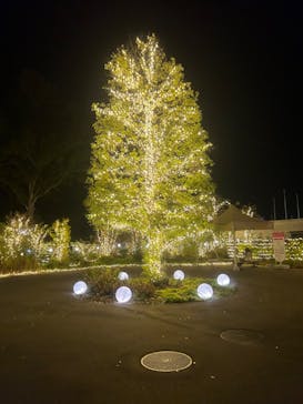 いばらきフラワーパークに投稿された画像（2023/10/14）