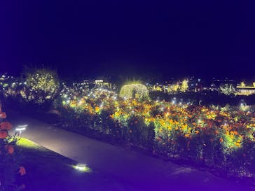 いばらきフラワーパークに投稿された画像（2023/10/14）