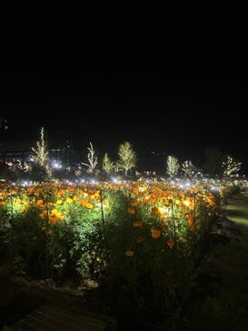 いばらきフラワーパークに投稿された画像（2023/10/14）