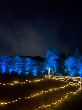 いばらきフラワーパークに投稿された画像（2023/10/14）