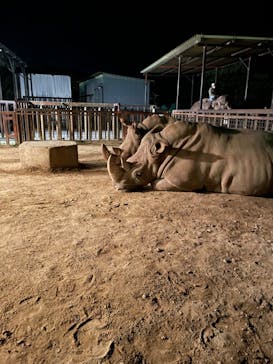 那須サファリパークに投稿された画像（2023/10/14）