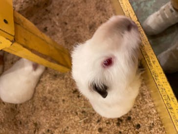 那須サファリパークに投稿された画像（2023/10/14）