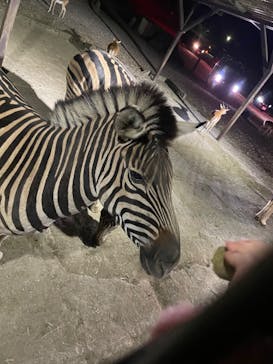 那須サファリパークに投稿された画像（2023/10/14）