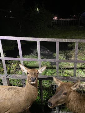 那須サファリパークに投稿された画像（2023/10/14）