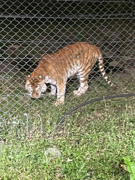 那須サファリパークに投稿された画像（2023/10/14）