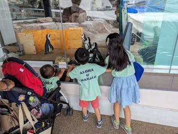 京都水族館に投稿された画像（2023/10/14）