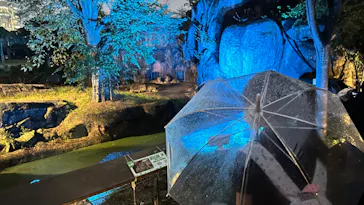 天王寺動物園に投稿された画像（2023/10/14）