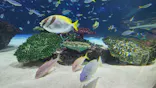 サンシャイン水族館に投稿された画像（2023/10/14）