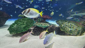 サンシャイン水族館に投稿された画像（2023/10/14）