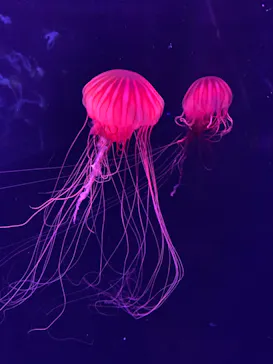 すみだ水族館に投稿された画像（2023/10/14）