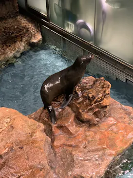 すみだ水族館に投稿された画像（2023/10/14）