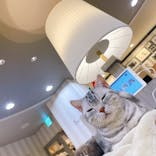 猫カフェモカ　立川店に投稿された画像（2023/10/14）