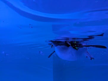 AOAO SAPPOROに投稿された画像（2023/10/14）