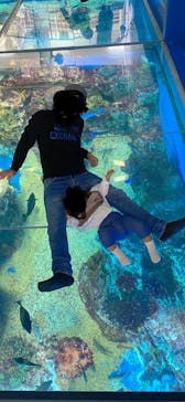 越前松島水族館に投稿された画像（2023/10/14）