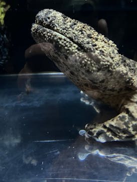 京都水族館に投稿された画像（2023/10/14）