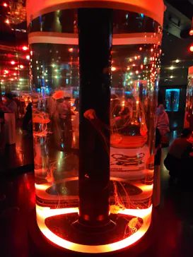 マクセル アクアパーク品川に投稿された画像（2023/10/14）