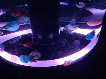 マクセル アクアパーク品川に投稿された画像（2023/10/14）