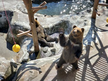 のぼりべつクマ牧場に投稿された画像（2023/10/14）