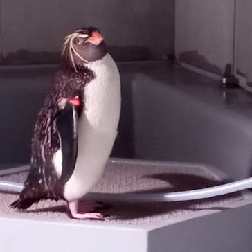 AOAO SAPPOROに投稿された画像（2023/10/14）