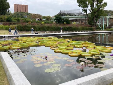 名古屋市東山動植物園に投稿された画像（2023/10/14）