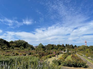 京成バラ園に投稿された画像（2023/10/15）