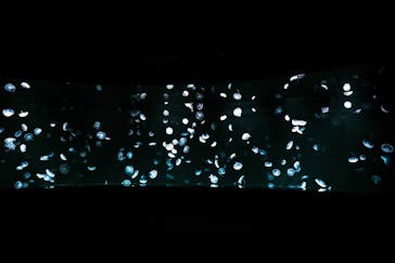 サンシャイン水族館に投稿された画像（2023/10/15）