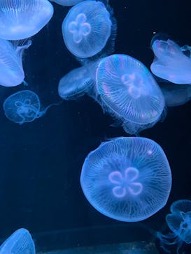 AOAO SAPPOROに投稿された画像（2023/10/15）