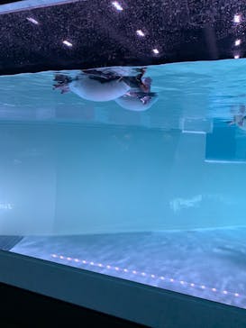 AOAO SAPPOROに投稿された画像（2023/10/15）