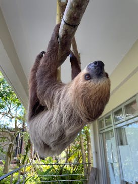 ネオパークオキナワに投稿された画像（2023/10/15）