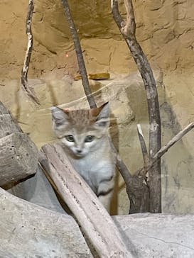 ネオパークオキナワに投稿された画像（2023/10/15）