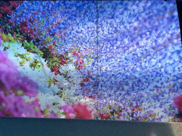 安比高原に投稿された画像（2023/10/15）