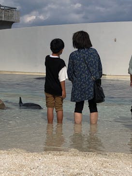 大分マリーンパレス水族館 「うみたまご」に投稿された画像（2023/10/15）