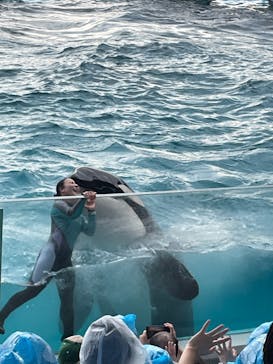 鴨川シーワールドに投稿された画像（2023/10/15）