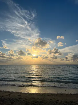 武藤潜水に投稿された画像（2023/10/15）